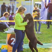 Labranzh Shot Alabama 