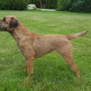 Hana Dziekanowska Polana FCI 3