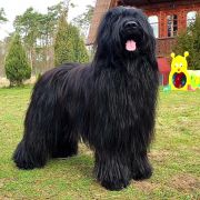 GODDNESS OF MY VICTORY Victory of Love