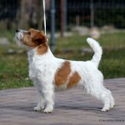 CHPL Z Ledulandu BARBIE-BARA