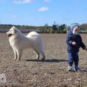 Kenventaki LOVE MY TRUE HONEYNOON