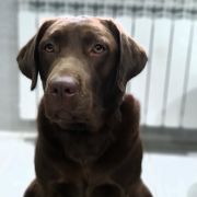 Sofy Urok Pojezierza 