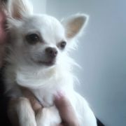 Always in my Heart Unique Love