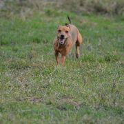 Camalis Come As Clancy