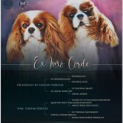 Xavier Ex imo Corde (FCI)