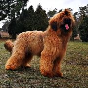 PRINCESS OF LOVE Victory of Love 