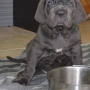 буква помета В