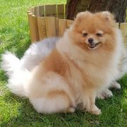 Falcnory Ornela Muti Beauty an Nicole