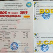 UKR JCH Reachy Action Sharon Florance