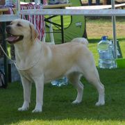 BELOVED FLOVER FROM SALT CITY