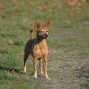 Camalis Come As Clancy