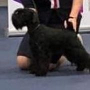 SWEET CHOCOLATE With Me FCI