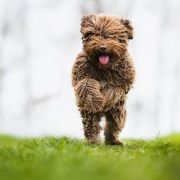 Dianna Sierra de Grazalema 