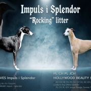 Miot ROCKING Litter Impuls i Splendor