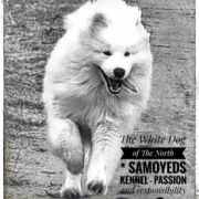 ZOE OF BASTY The Glow of The Snowy Star