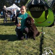 OMEGA Beautiful Great Dane FCI