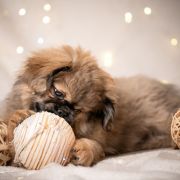 TYCIA TUSIA Casa Blanca