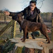 ABI z Wierzchowskich Gór Smolnych 