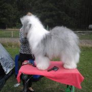 NO I UDAŁO SIĘ! Bobicowo FCI