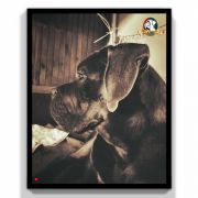 A BIG SUPRISE Your Destiny FCI