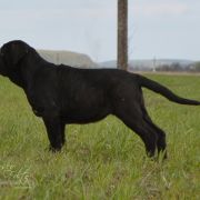 GIULIETTA DEL' BOSCO FOLTO