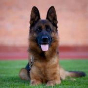 PIORUN z Więcborskiej Doliny 