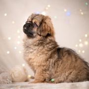 TYCIA TUSIA Casa Blanca