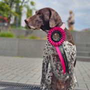 Viva La VIVA Whisky Team fci 