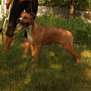 HISTORY OF LOVE VIA FORTUNA