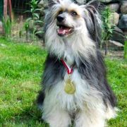 Winnie The Puff Resuruss 3