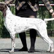 Jamajka z Czarnego Dworu