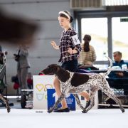 Viva La VIVA Whisky Team fci 