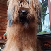 PRINCESS OF LOVE Victory of Love 