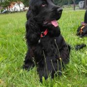 Adara ze Srebrnego Brzegu 2