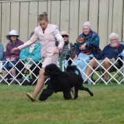 Marinella`s FOLLOW THAT DREAM