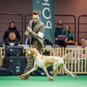 Latina Venator d’Ursus