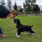 MYSTICAL HERO SMART MUSTACHE 