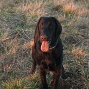 ONE AND ONLY From The Moominvalley