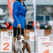 QUEEN OF SPADES VIA FORTUNA