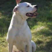 Agra Quebrada Del Toro