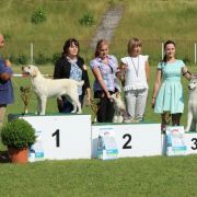  AIRY-FAIRY Kreuzburg 4