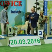  AIRY-FAIRY Kreuzburg 3