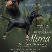ALIMA z Dziczego Babrzyska 