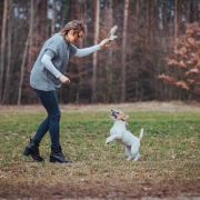 All Jacks Amazing Tale