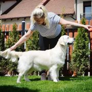 ALMOST ALL of Wolf Point