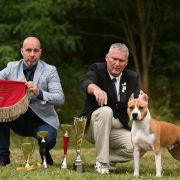 ALPINE'S STAR LORD POKEROWY ZYWOT