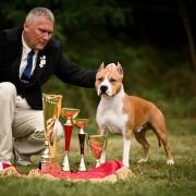 ALPINE'S STAR LORD POKEROWY ZYWOT