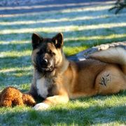 Amartami BORN TO BE BEAUTY