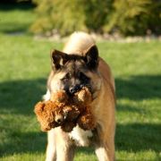 Amartami BORN TO BE BEAUTY 2