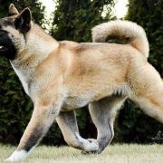 Amartami BORN TO BE BEAUTY 3